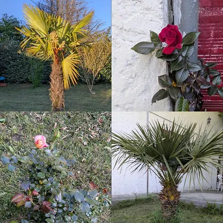 Maison Casa Ge A * Hourtin