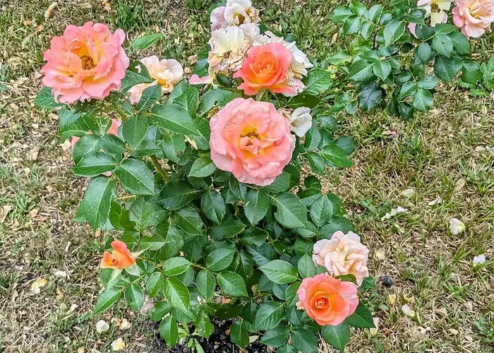 Semesterbostad Maison Casa Ge A