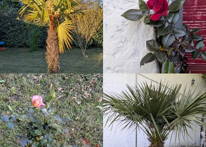 Maison Casa Ge A * オータン